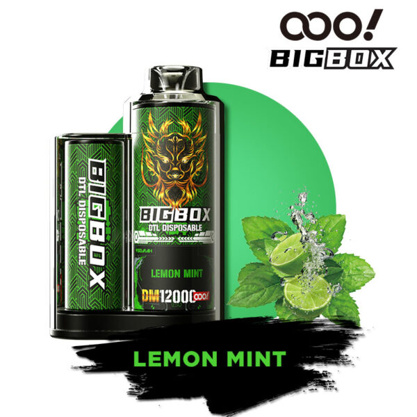 OOO! BIGBOX DTL/DL Vape Descartável POD 12000 Puffs 25ml fluxo de ar ajustável e Recarregável