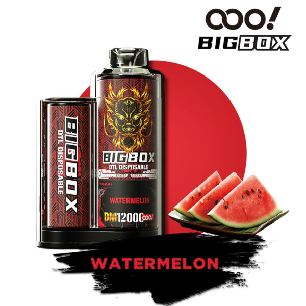 OOO! BIGBOX DTL/DL Vape Descartável POD 12000 Puffs 25ml fluxo de ar ajustável e Recarregável